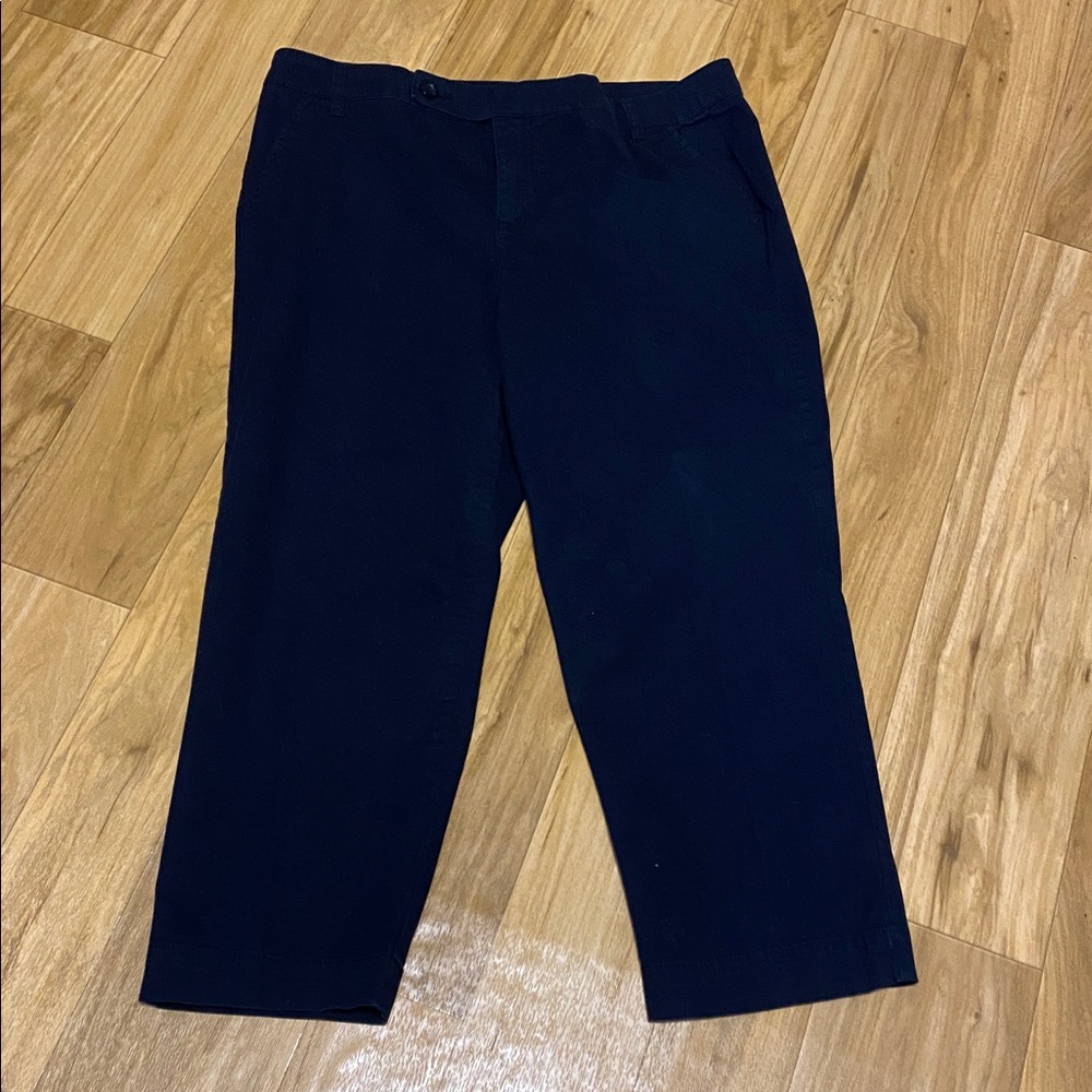 Bundle Style & Co Navy Capris; size 16 & Kim Rogers size XL blouse NWT - Picture 4 of 8
